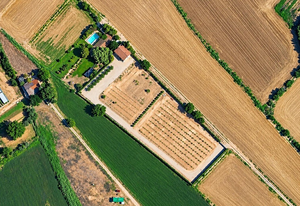 Imagen 1 de FINCA DE 7.500 m2 CON 200 OLIVOS Y ALMACÉN DE 123 m2 EN PARTIDA RUFEA – ¡A SOLO 5 MINUTOS DE LLEIDA!
