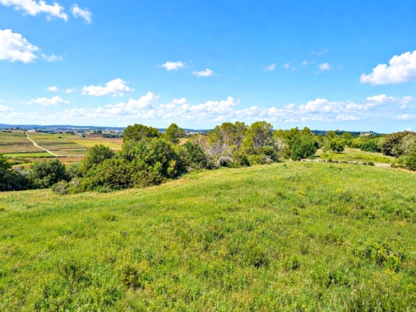 Imagen 4 de Solar residencial en Venta en Manacor Baleares