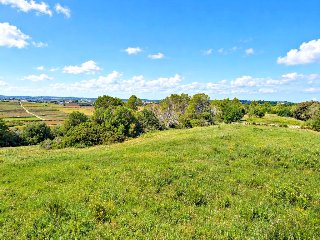 Imagen 4 de Solar residencial en Venta en Manacor Baleares