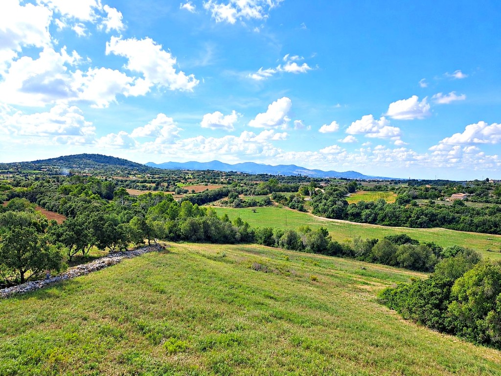 Imagen 1 de Solar residencial en Venta en Manacor Baleares