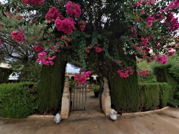 Imagen 2 de Encantadora casa cueva con jardín y finca